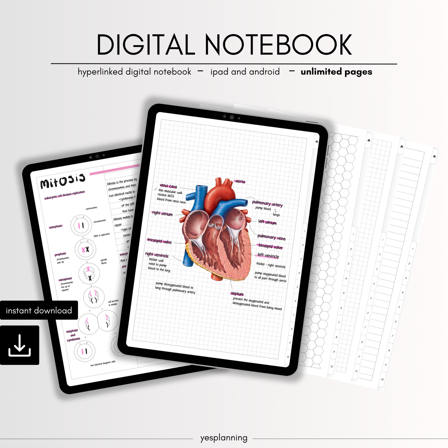 Hyperlinked Digital Student Notebook: GoodNotes, Notability Compatible (PDF File)
