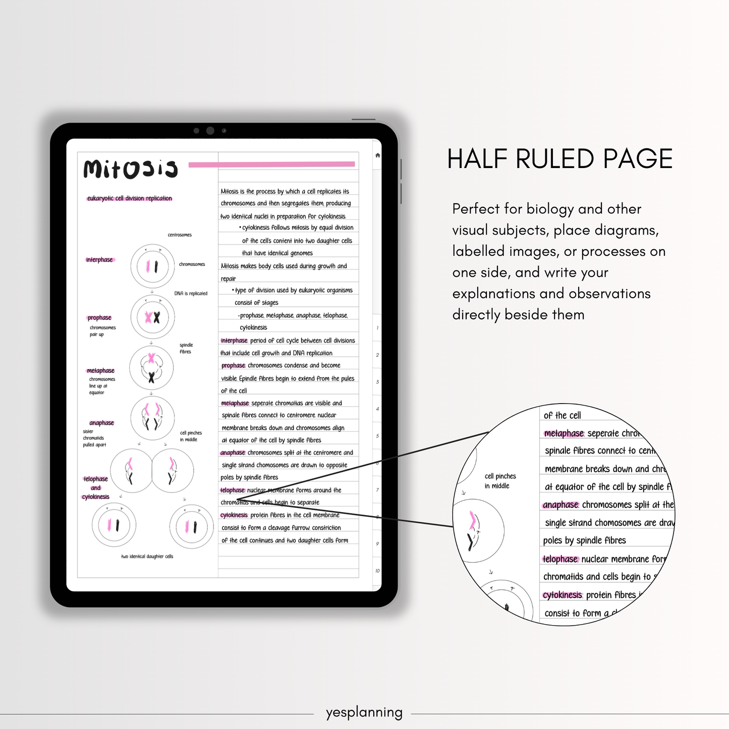 Hyperlinked Digital Student Notebook: GoodNotes, Notability Compatible (PDF File)